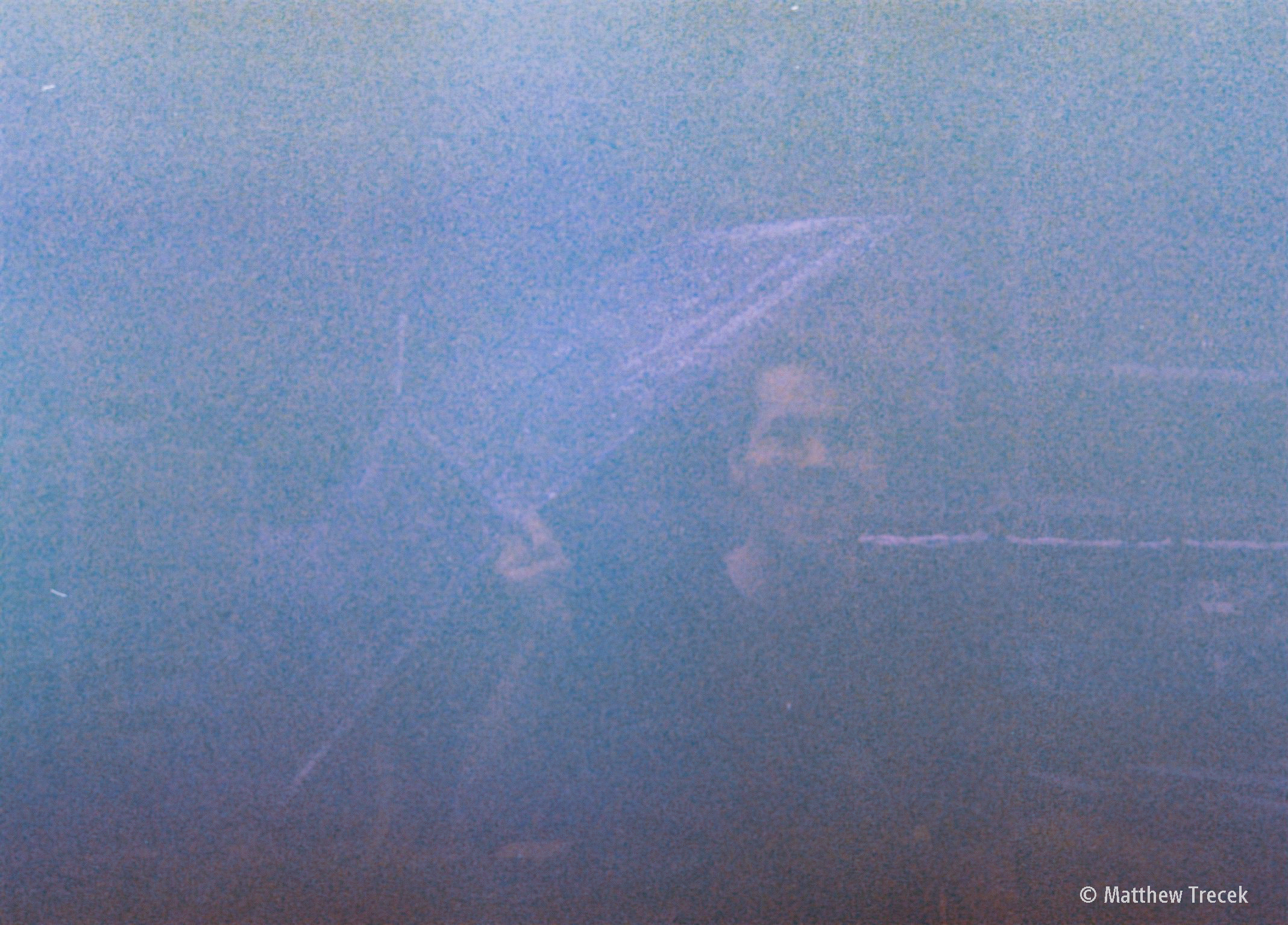 Suntory Ike with Umbrella